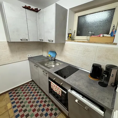 Apartment Toki's Feriendomizil Bad Sackingen